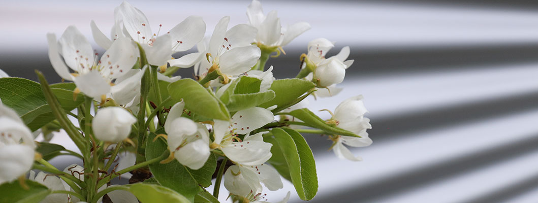 Energiefassade_Beitrag_Titelbild_1059x400